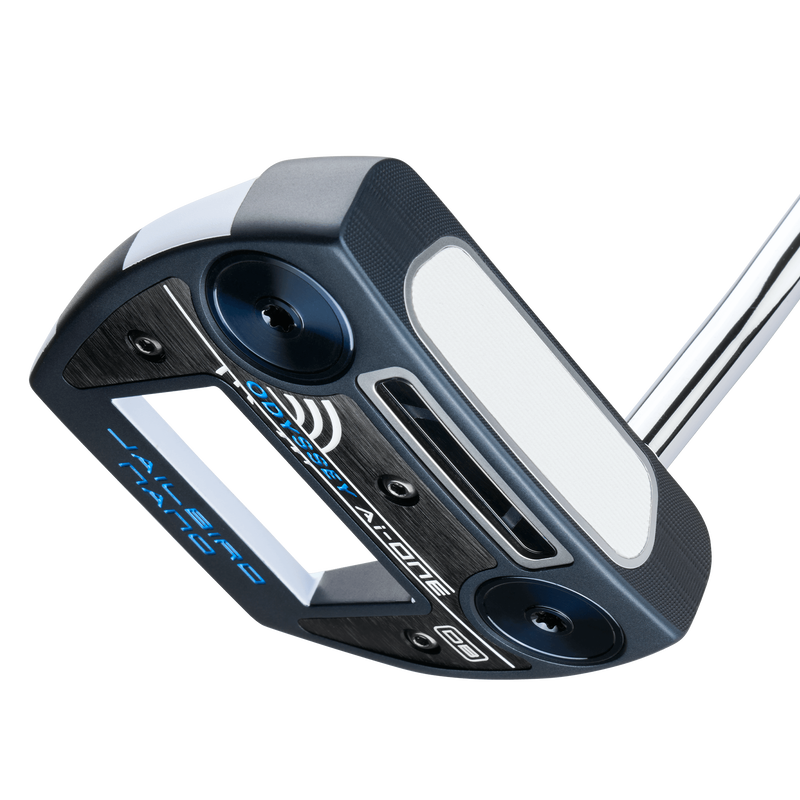 Ai-ONE Jailbird Nano DB Putter - View 4