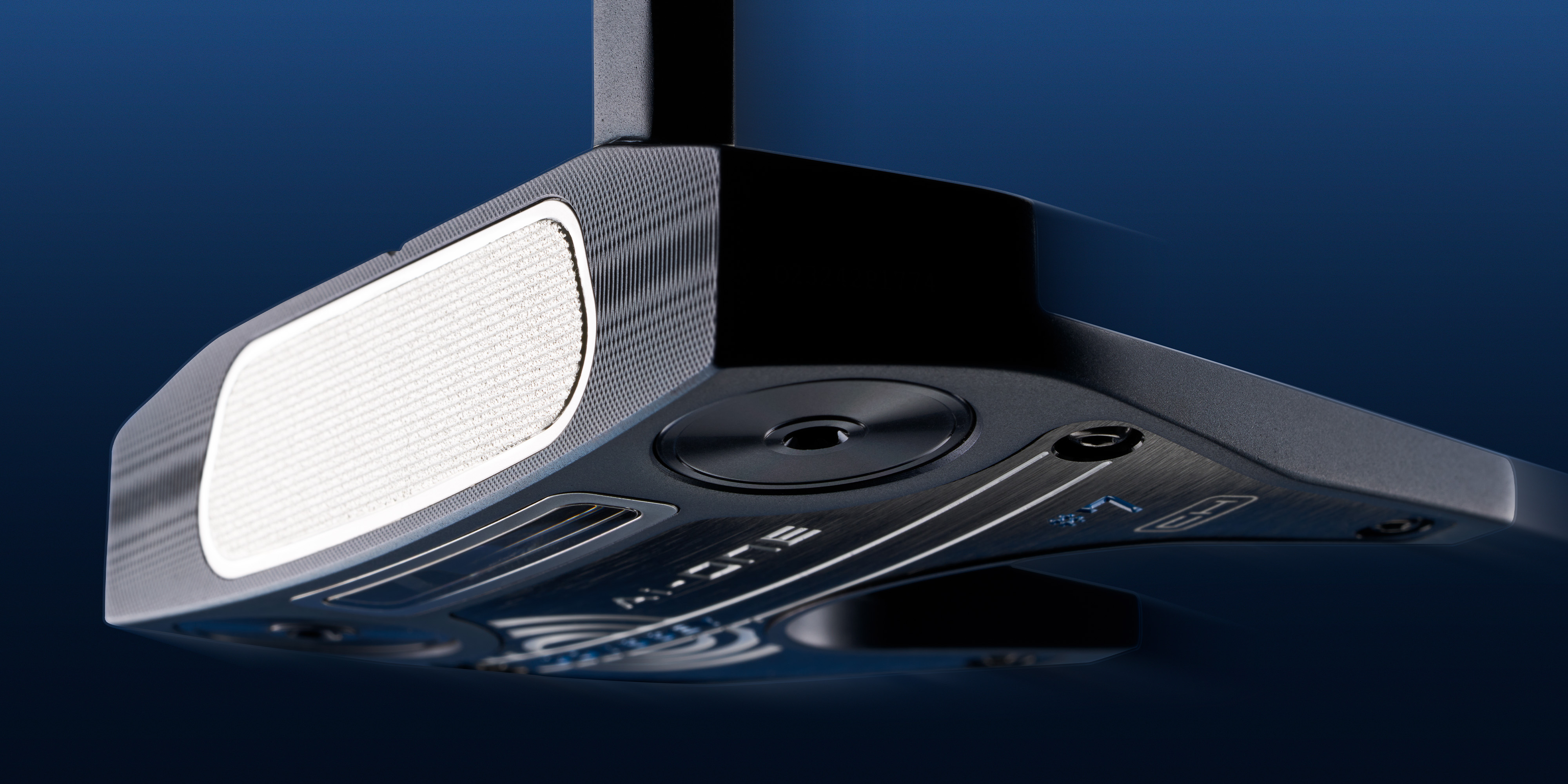 big bertha golf club