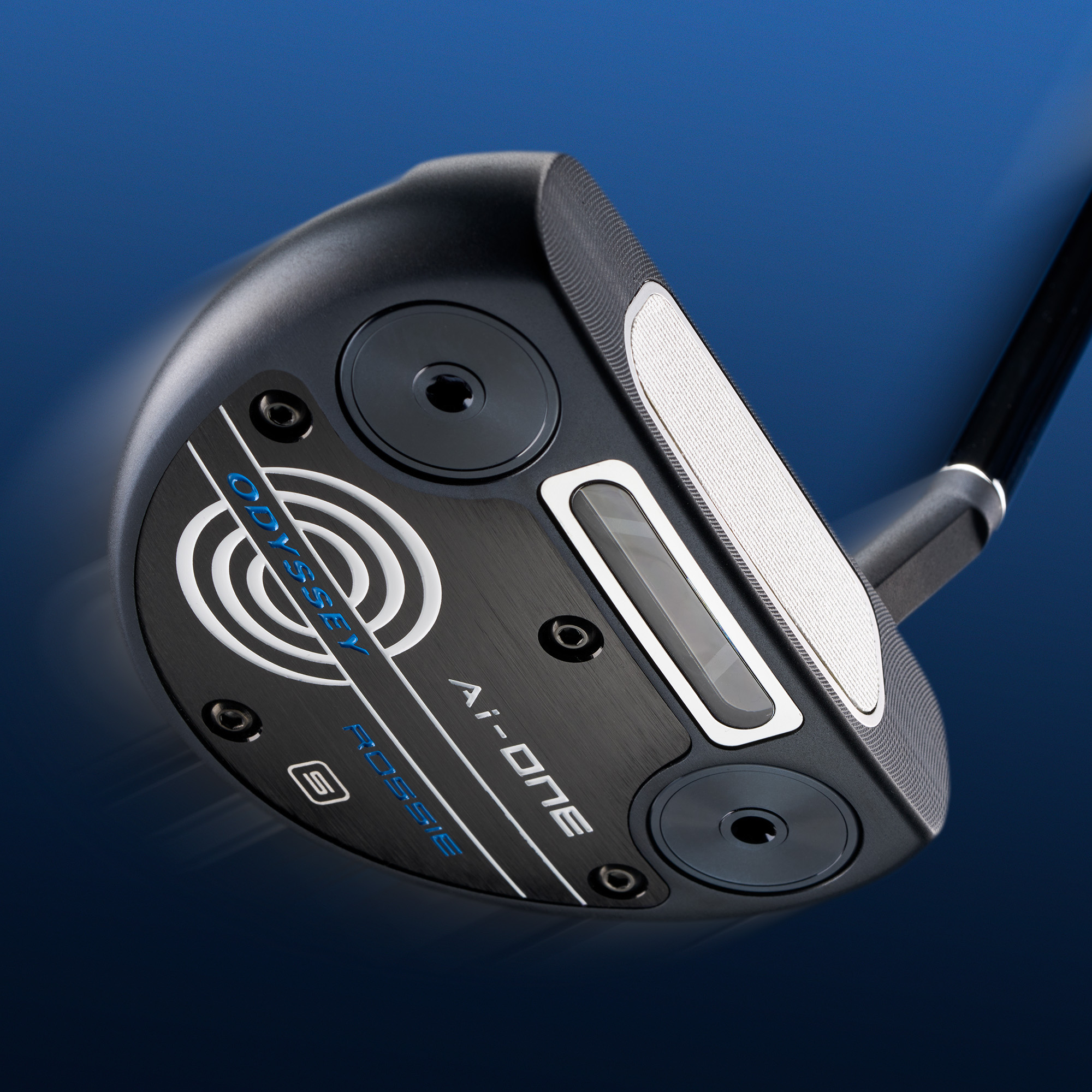 big bertha golf club
